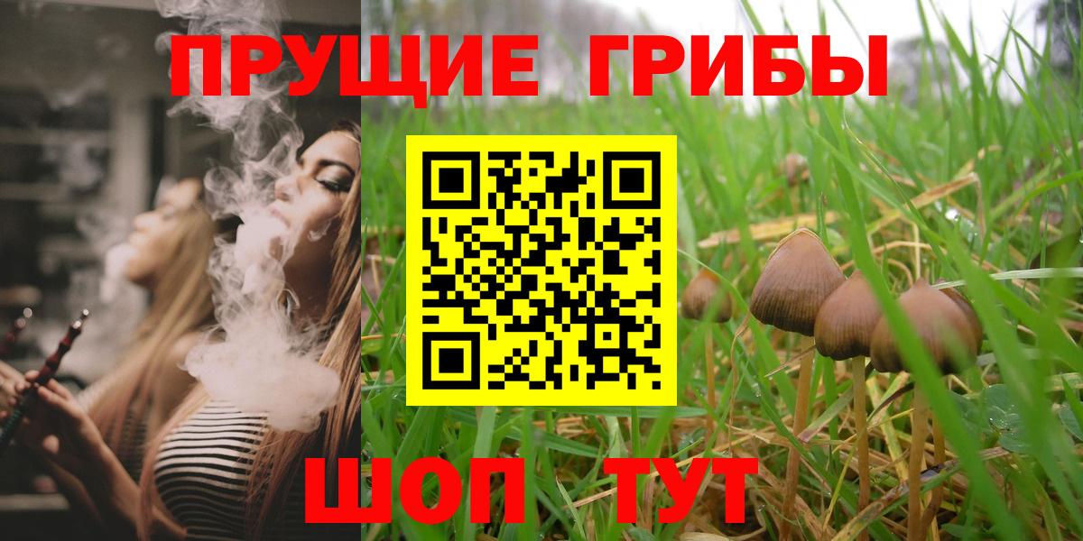 Печора  Псилоцибиновые грибы Psilocybe  Вход с VPN 